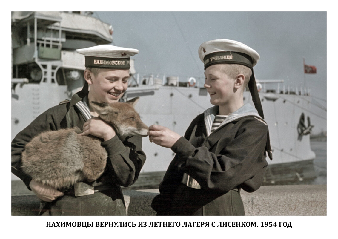 О «корабельных любимцах» — животных на военных кораблях расскажет уникальная выставка Центрального военно-морского музея в Санкт-Петербурге