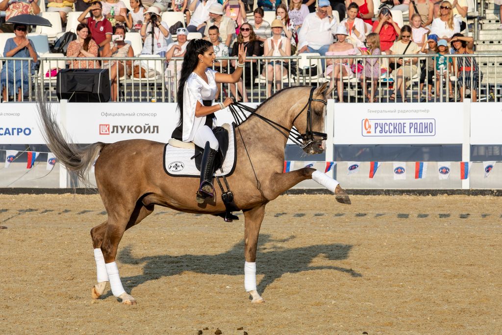 Всадница из Германии выступила в конном шоу Фестиваля «Спасская башня» на ВДНХ