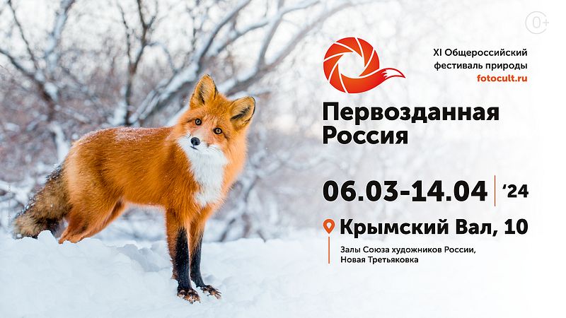 Общероссийский фестиваль природы “Первозданная Россия” продлен до 14 апреля 2024 года